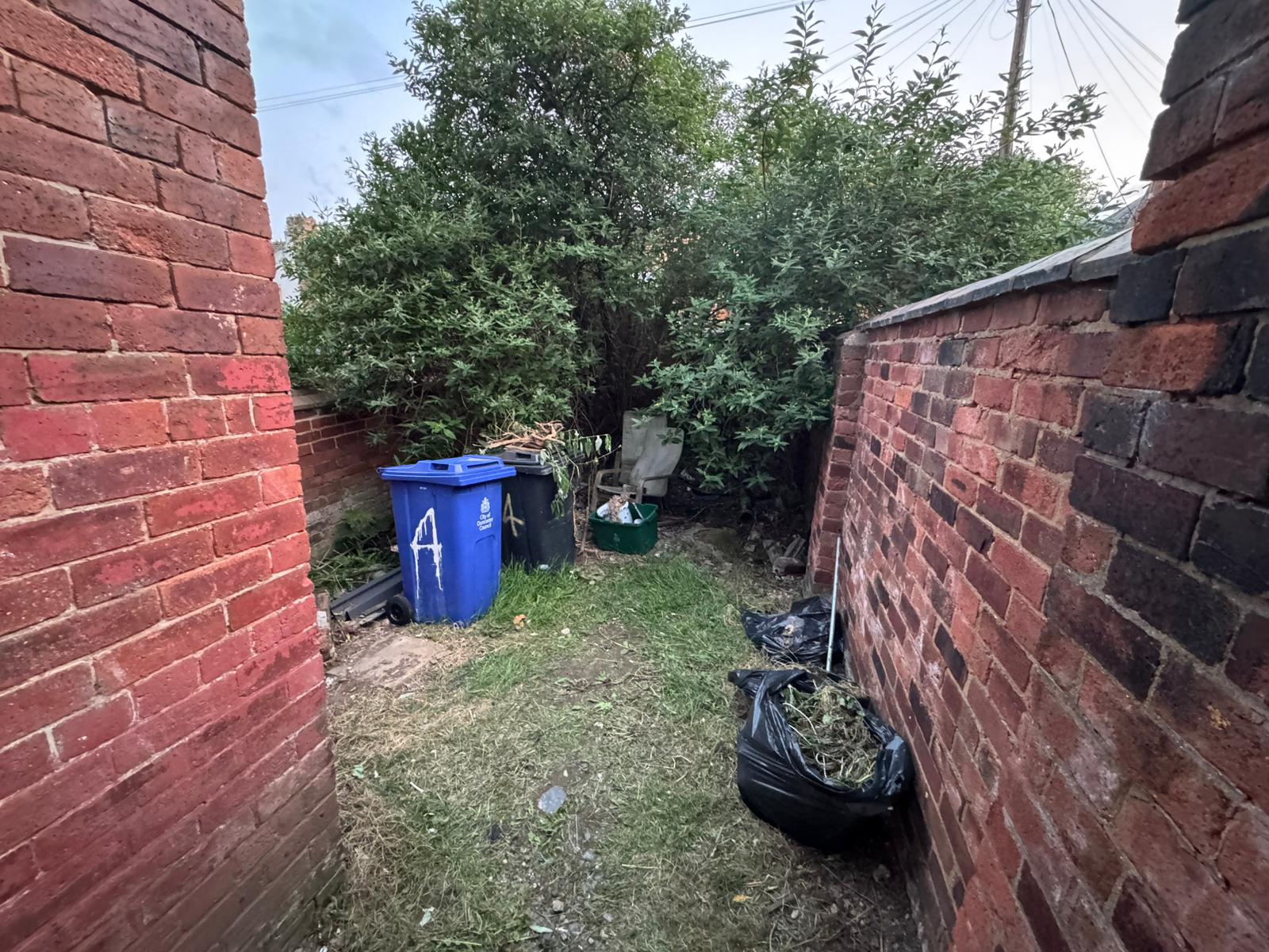 Image 10